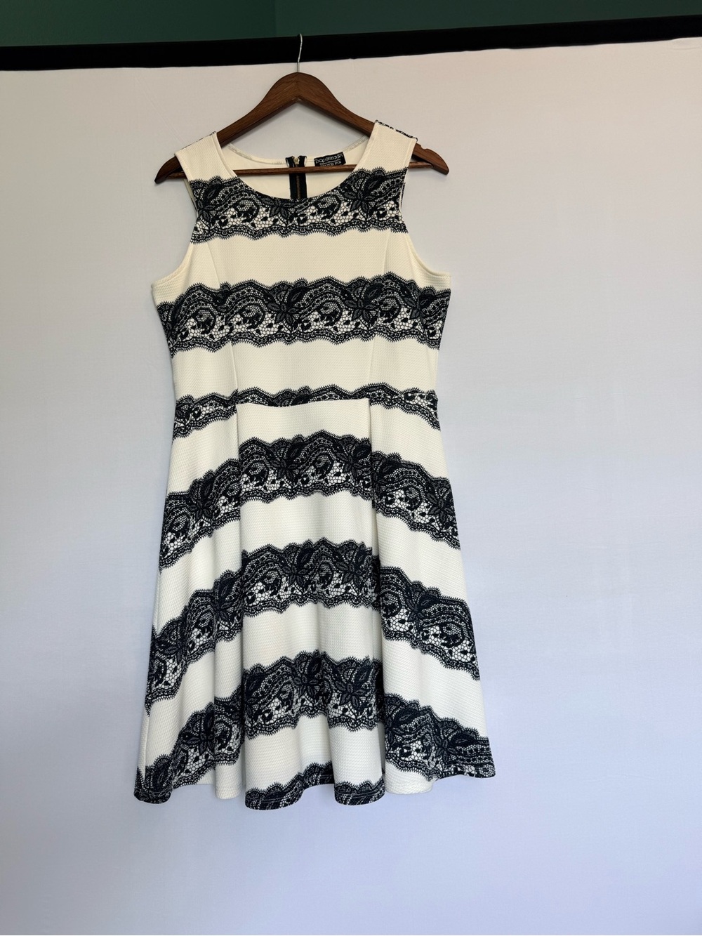 Stitch fix Cream and Black Lace-Stripe Fit & Flare Mini Dress
